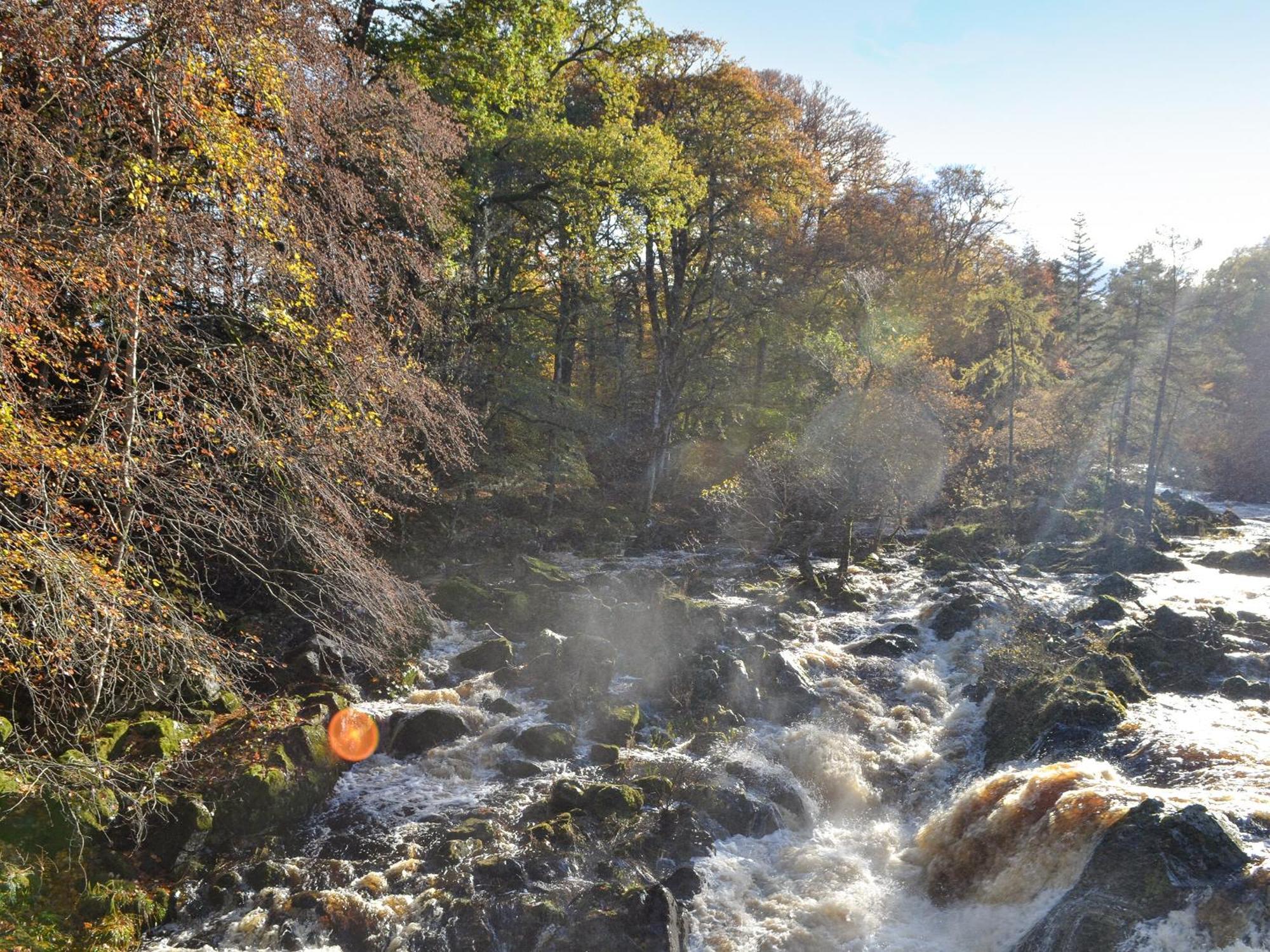 Toll Bridge Lodge Banchory Exteriér fotografie
