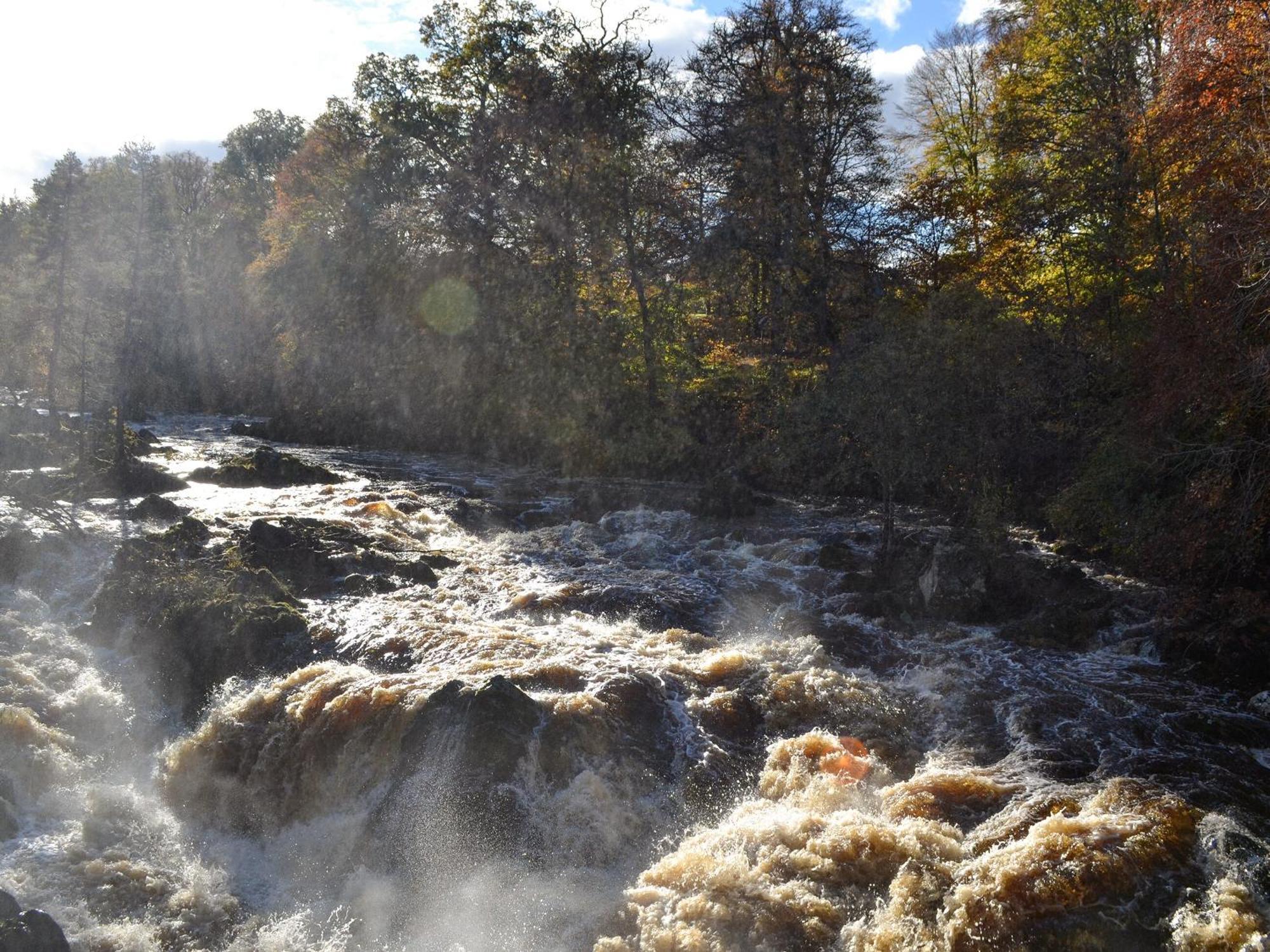 Toll Bridge Lodge Banchory Exteriér fotografie
