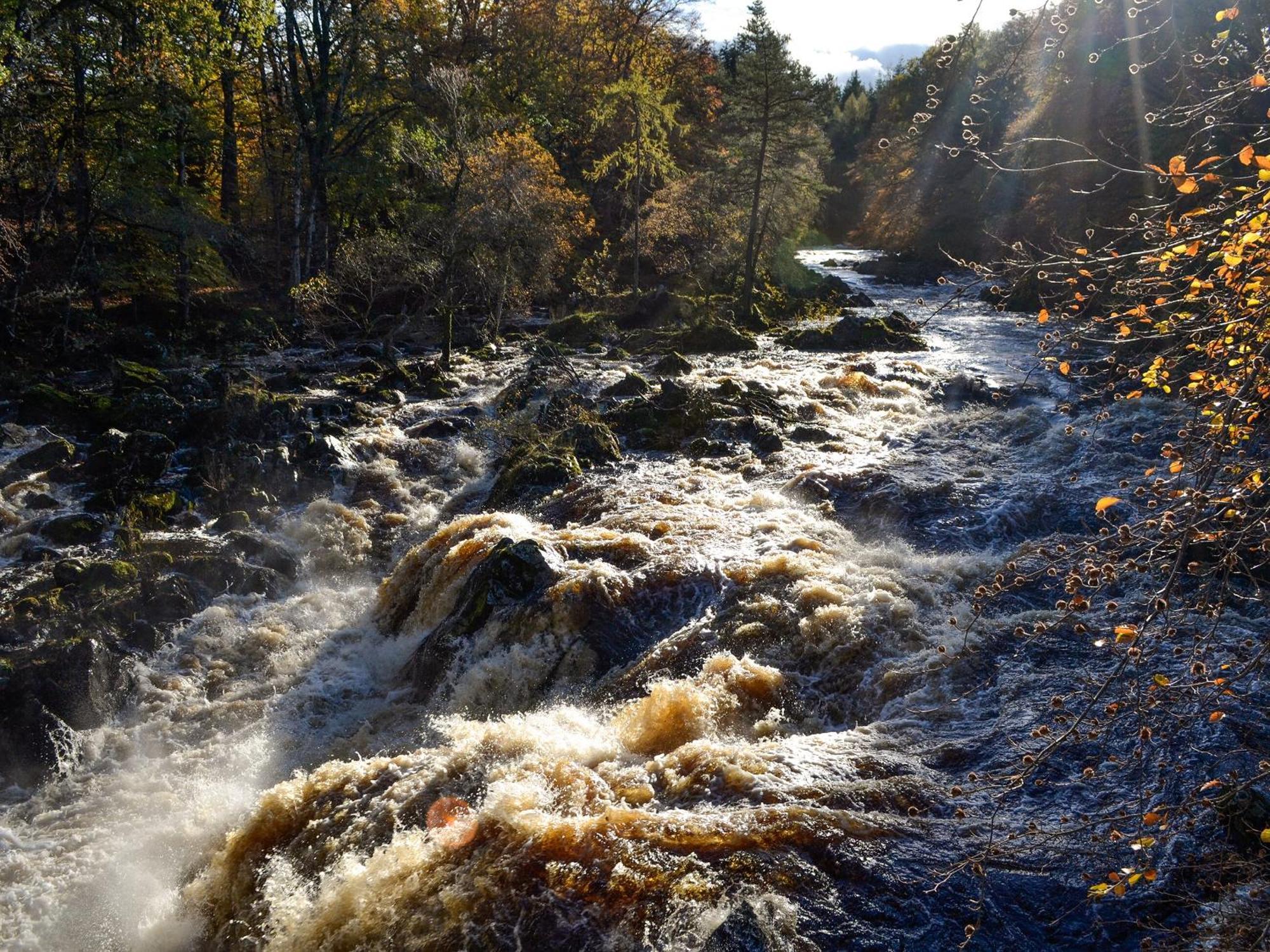 Toll Bridge Lodge Banchory Exteriér fotografie